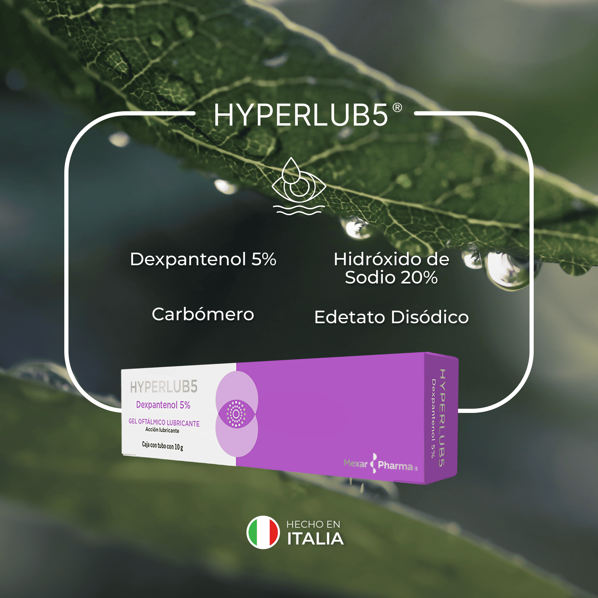 Hyperlub5